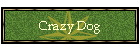 Crazy Dog
