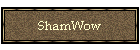 ShamWow